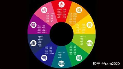 居中廁 紫色五行